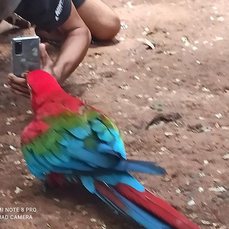 Hotel Casas Bom Sono Foz do Iguaçu Exteriér fotografie